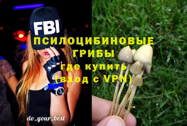 кристаллы Белокуриха