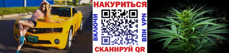 Бошки марихуана семена  купить  сайты  Мичуринск 